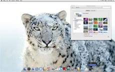Apple has included new desktop background images, including this one of a Snow Leopard.
