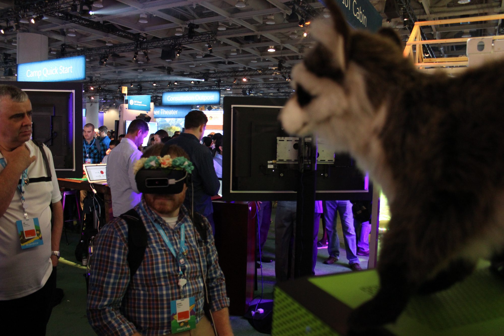 Salesforce VR - raccoon